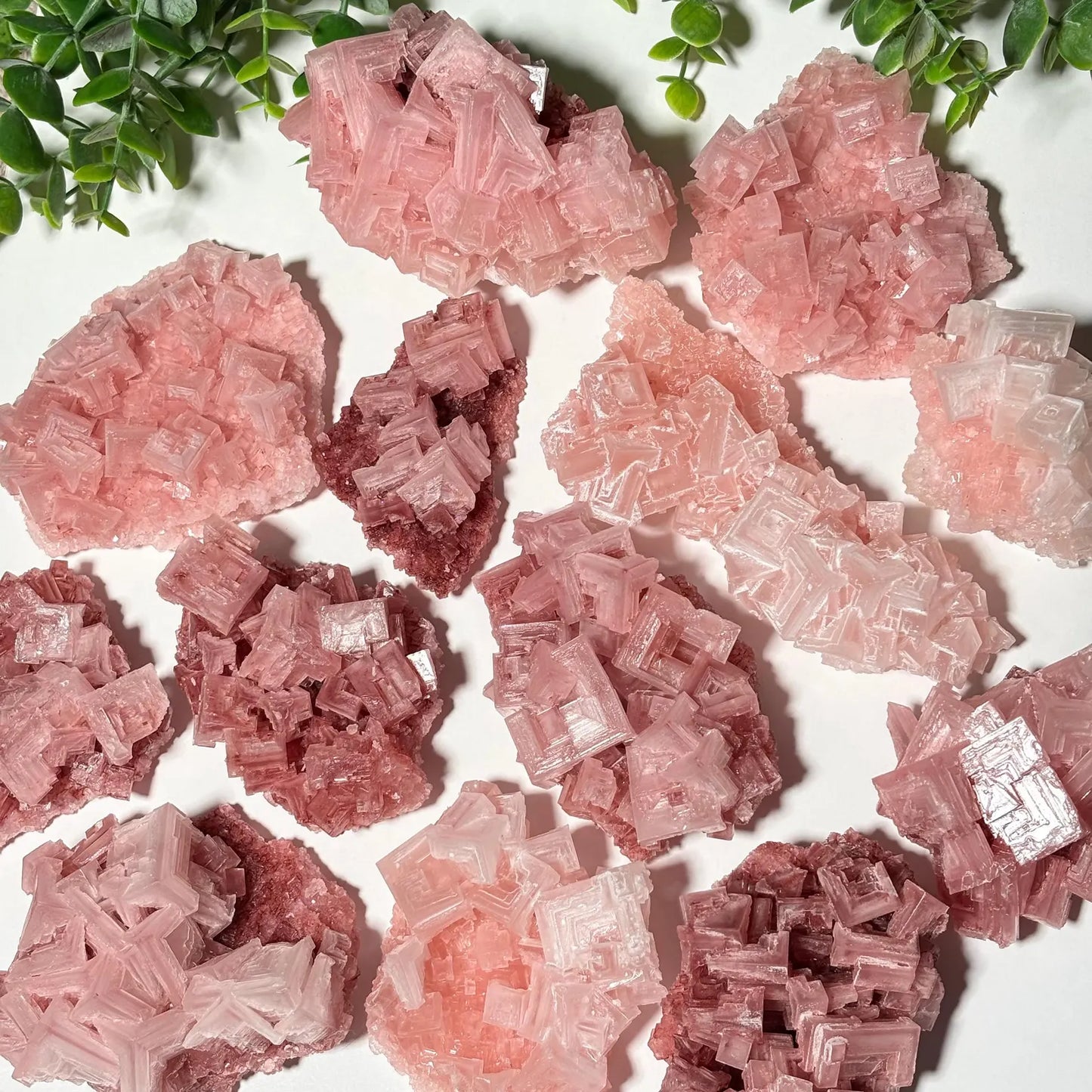 Pink Halite