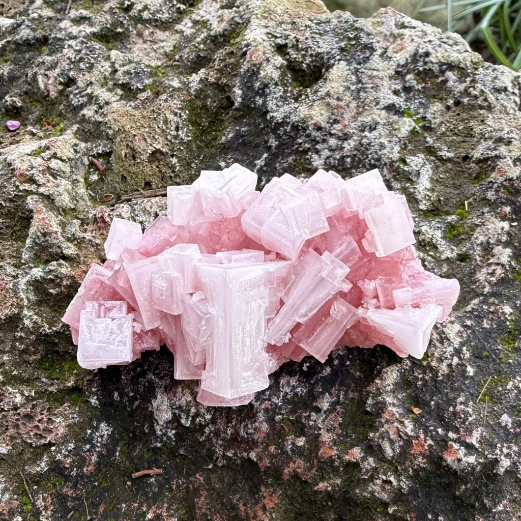 Pink Halite